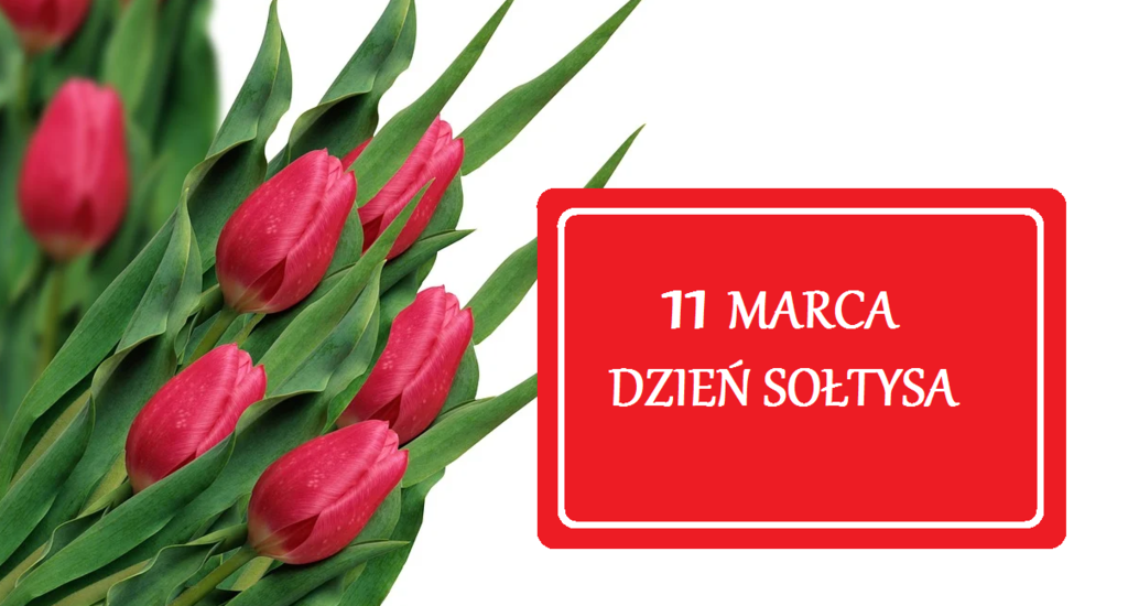 Po lewej stronie bukiet czerwonych tulipanów, obok czerwona ramka a w niej biały napis 11 marca Dzień Sołtysa