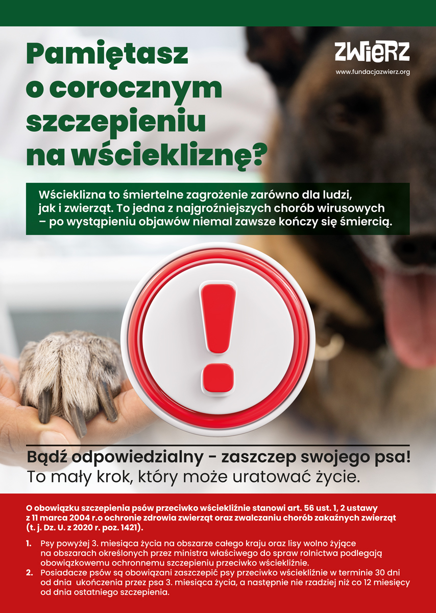Plakat informacyjny w języku angielskim, który jest szczepionką przeciwko wściekliźnie dla psów, zawiera wtyczkę z wykrzyknikiem. Zawiera także apel do właścicieli zwierząt o zaszczepienie ucznia w celu leczenia choroby.