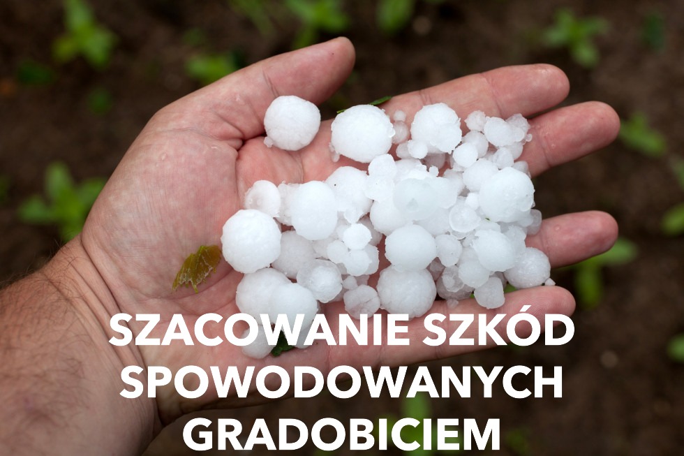Na dłoni znajdują się białe kulki gradu. Tło jest zielono-brązowe, sugerujące ogród. Napis na dole brzmi: Szacowanie szkód spowodowanych gradobiciem.