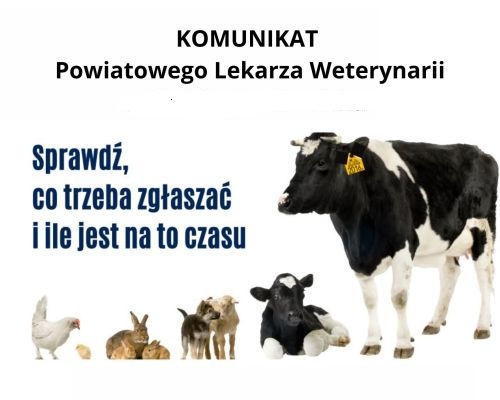 Na białym tle znajduje się krowa, koza, owce i kura z napisem. W górnej części widnieje komunikat od weterynarza. Zwierzęta są w różnych rozmiarach i kolorach.