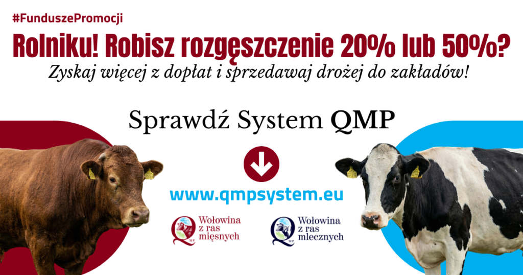 Plakat promocyjny z wołem i krową na białym tle. Tekst zachęca rolników do korzystania z systemu QMP. Kliknij www.qmpsystem.eu.