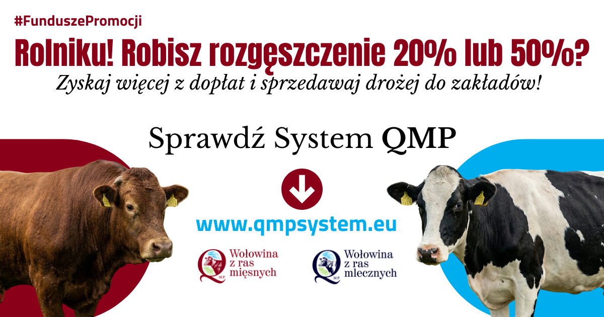 Plakat promocyjny z wołem i krową na białym tle. Tekst zachęca rolników do korzystania z systemu QMP. Kliknij www.qmpsystem.eu.