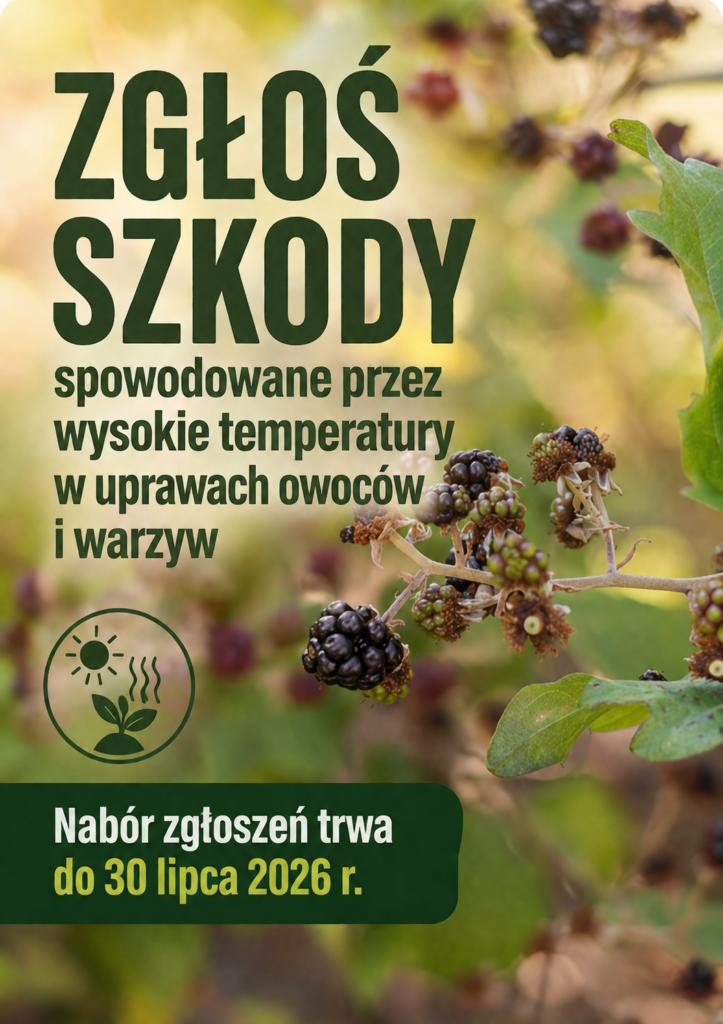 Obraz przedstawia gałązki jeżyn na rozmytym, zielonym tle. Tekst informuje o zgłaszaniu szkód spowodowanych upałami. Nabór trwa do 30 lipca 2026.