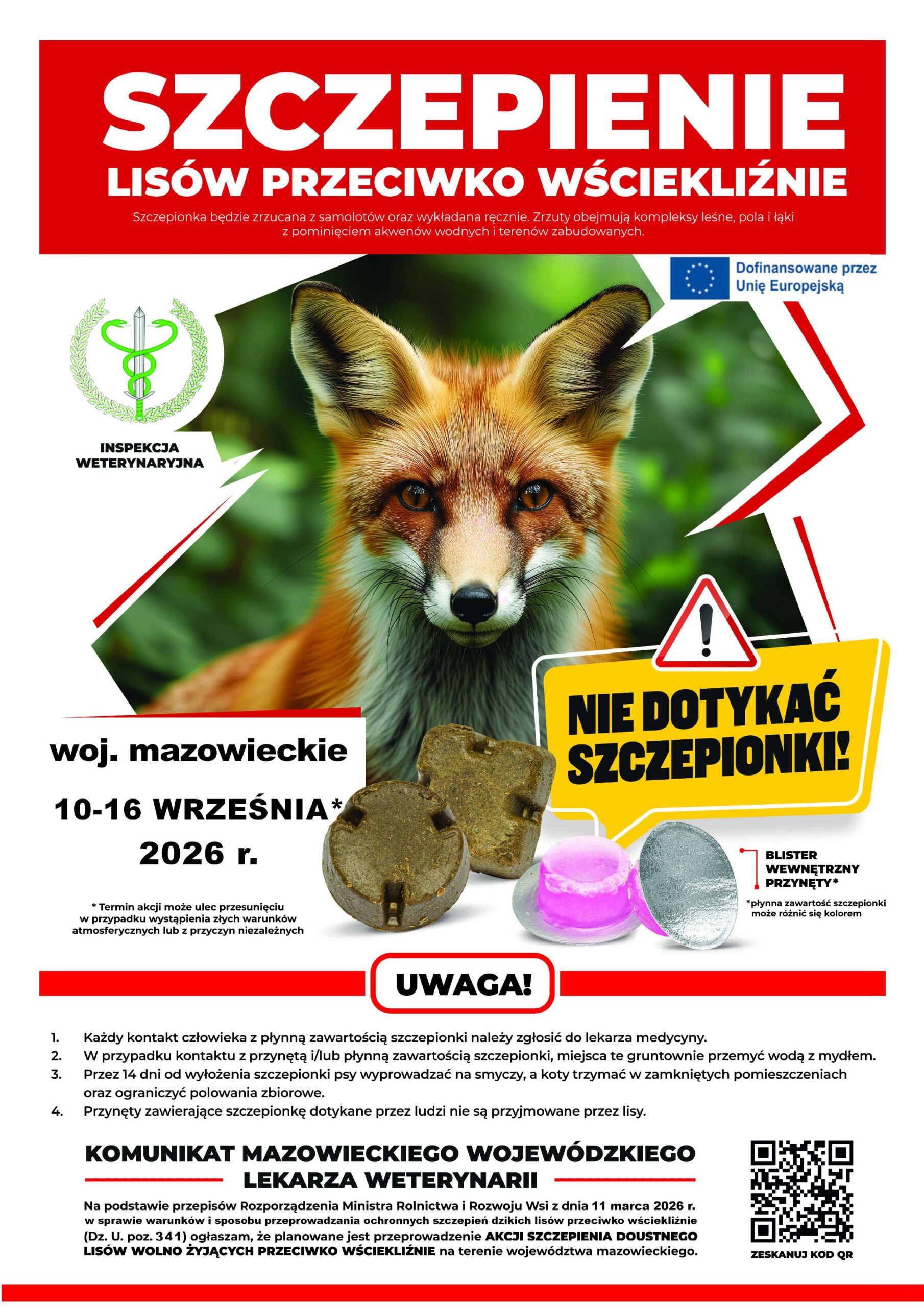 Plakat informuje o szczepieniu lisów przeciwko wściekliźnie, z czerwonym nagłówkiem i zdjęciem lisa. Na białym tle są szczegóły akcji i ostrzeżenie, by nie dotykać szczepionki. Widoczne są również okrągłe przyn